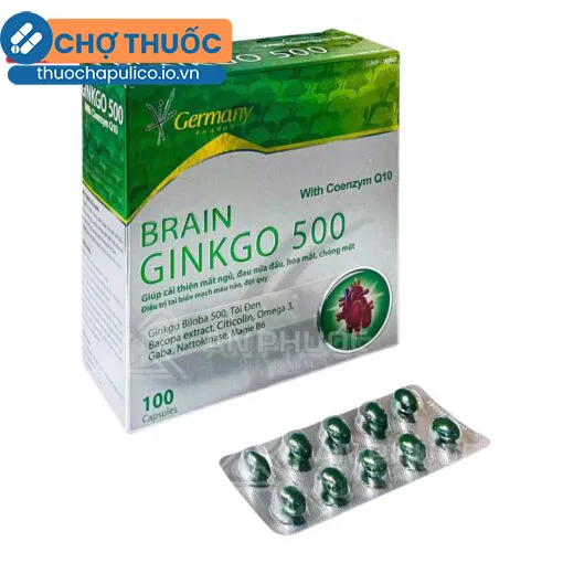 Brain Ginkgo 500