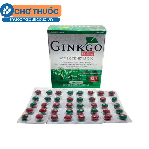 Ginkgo 600mg with Coenzym Q10 MediUSA