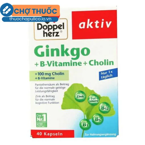 Ginkgo + B-Vitamine + Choline Doppelherz