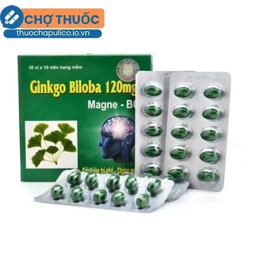 Ginkgo Biloba 120mg Thanh Hằng