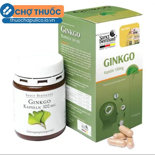 Ginkgo Kapseln 100mg