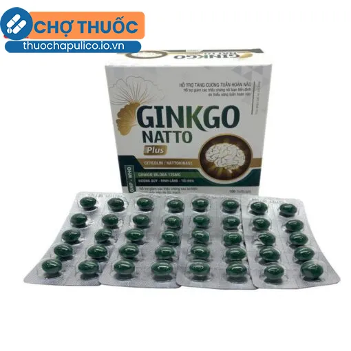 Ginkgo Natto Plus Vinaphar