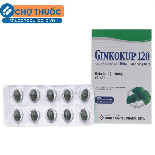 Ginkokup 120