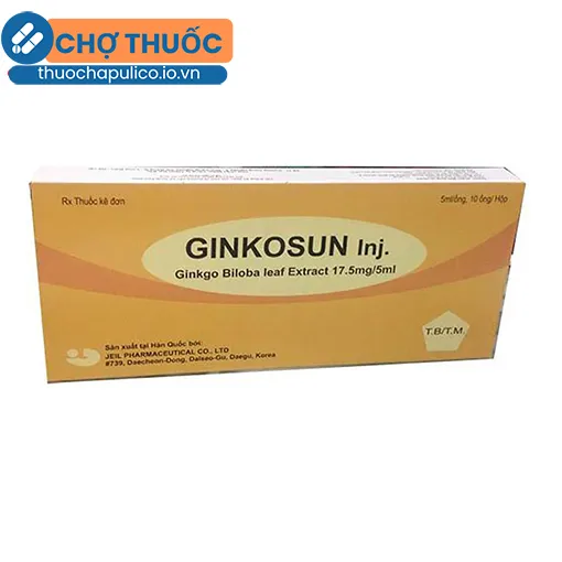 Ginkosun Inj.