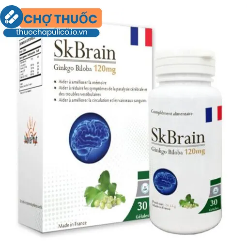 SKBrain Ginkgo Biloba 120mg