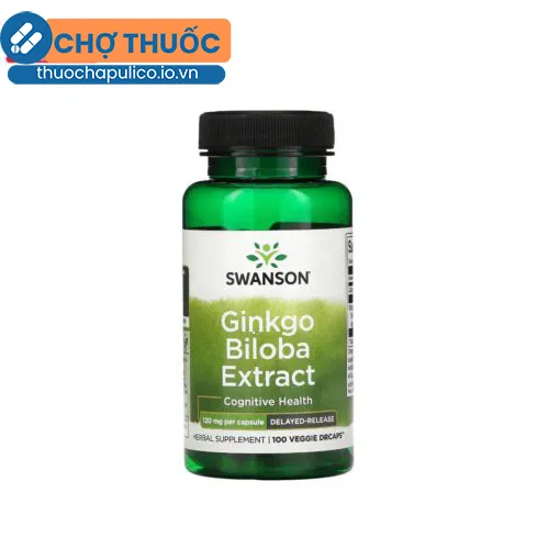 Swanson Ginkgo Biloba Extract