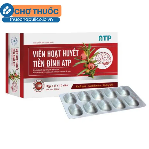 Viên Hoạt Huyết Tiền Đình ATP