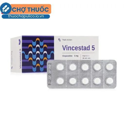 Vincestad 5